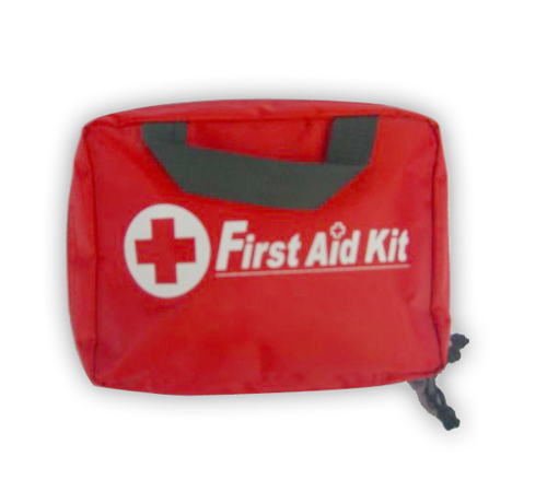 Large Sports First Aid Kit