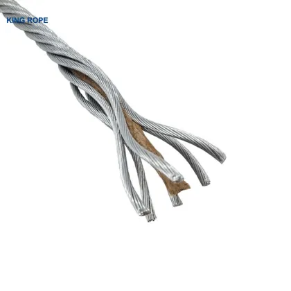 Customized Steel Wire Rope Cable for Fisheries and Petroleum Engineering