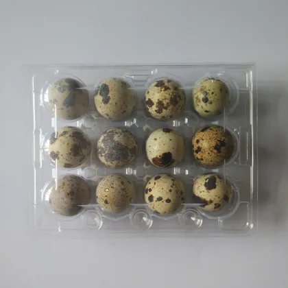 Plastic Crate Boxes for Packaging 12 Quail Eggs in Agriculture Industry