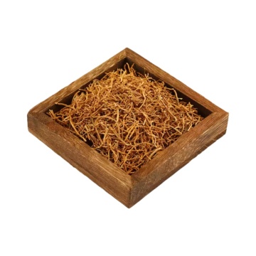 Natural Remedies Using Cynanchum Paniculatum Root Extract