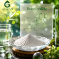 Ingrediente promotor del crecimiento de la hormona vegetal brasinolida