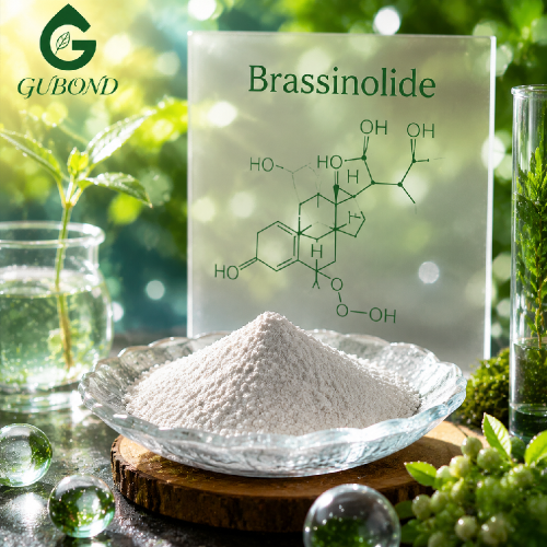 Ingrediente promotor del crecimiento de la hormona vegetal brasinolida