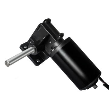 Maintex 24V Brushed Worm Gear Motor