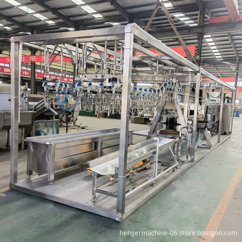 Chicken Slaughterhouse Slaughtering Line