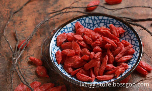dried goji berries fruit