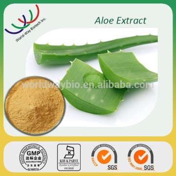 Free sample !China pure natural fresh aloe vera leaves extract powder 100:1,200:1