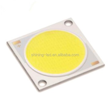 3 Years Warranty High Quality COB LED Chip 1919 10W-60W for Lighting