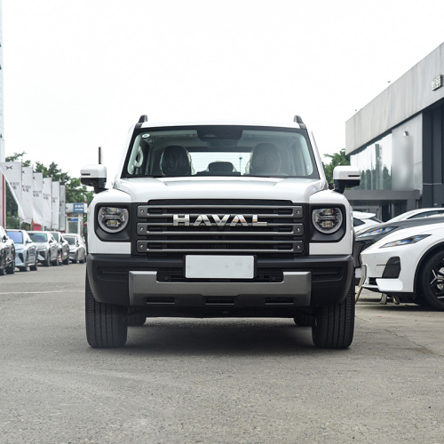 Haval Menglong Raptors 2024 HI4 102 Pro