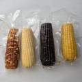 High Quality Motley Sweet Corns