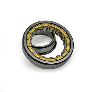 Wholesale Stainless Steel Supplier Single Row Cylindrical Roller Bearings OEM ODM for Rollerblade Wheels (P0, RN206, RN219, RN312, RN207)