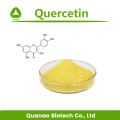 Sophora Japonica Extrato Quercetina em Pó 95% HPLC