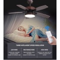 Ventilateur de plafond 24W de qualité énergétique