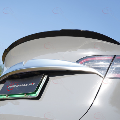 Tesla Model Y tail wing