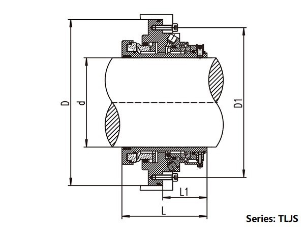 Dual Cartridge Seals