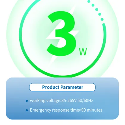 Led Emergency Light Fixture