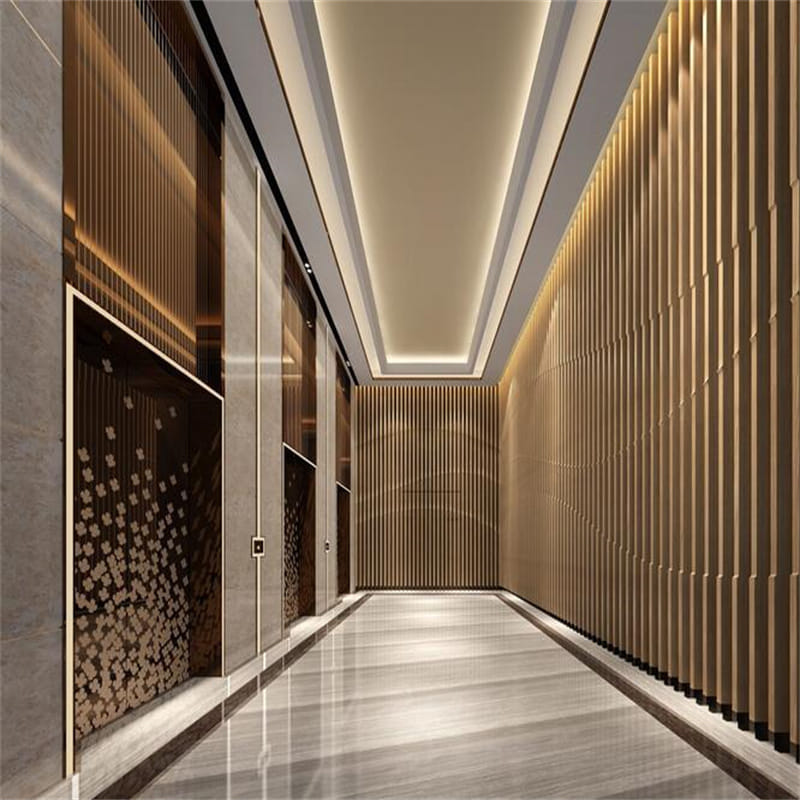 Passenger Elevator Commercial Sightseeing Elevator for Hotel