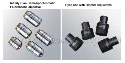 40X to 1000X Trinocular Biological Research Microscope BX43: Advanced Scientific Imaging Tool