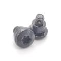 Torx Pan Head Triangular Tooth M4-0.7*8.5 Custom Screws