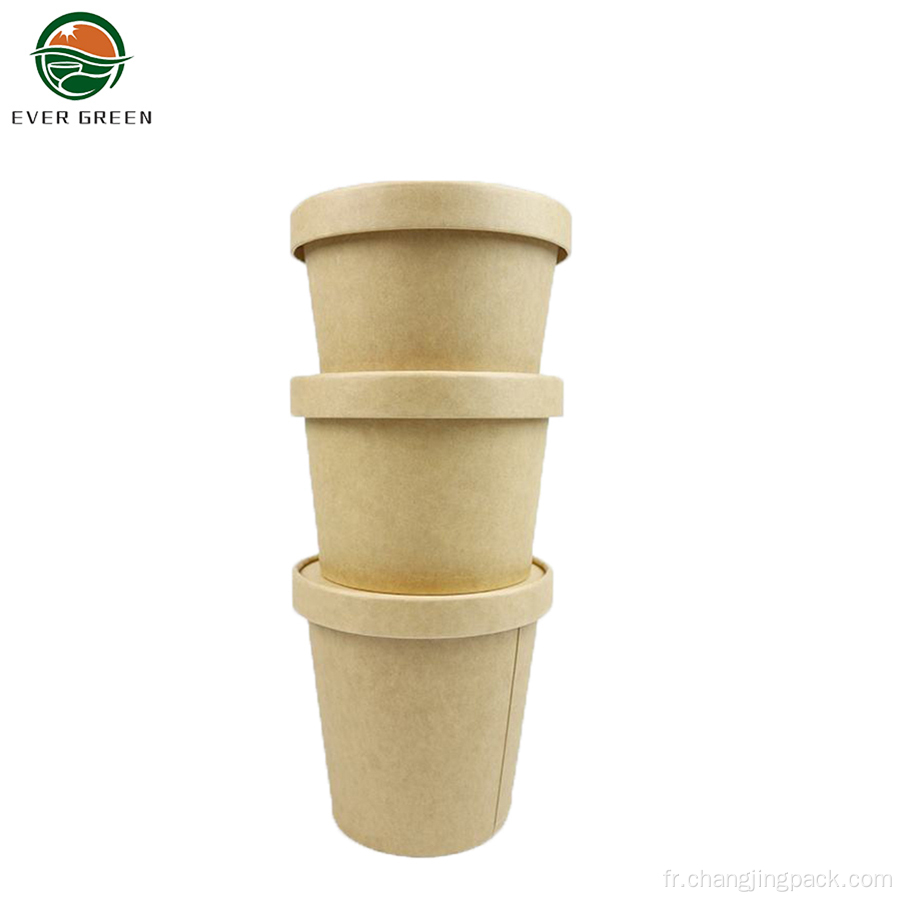 Tasse de soupe de restauration rapide recyclable recyclable respectueuse écologique.