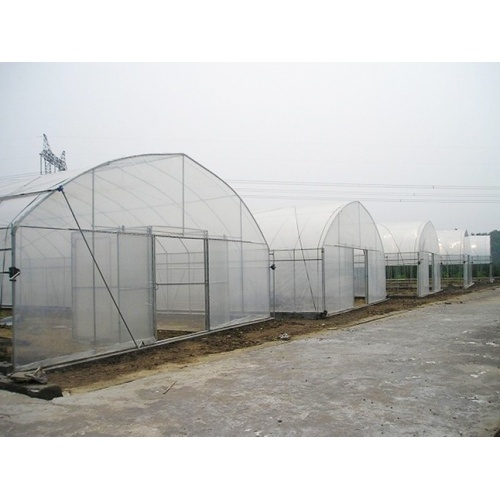 Small Gable Single Span Greenhouse