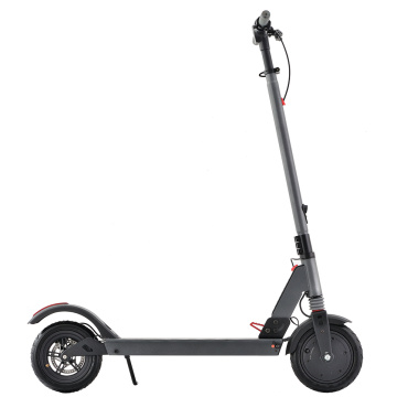 Popular Larger Deck Supports Electric Scooter
