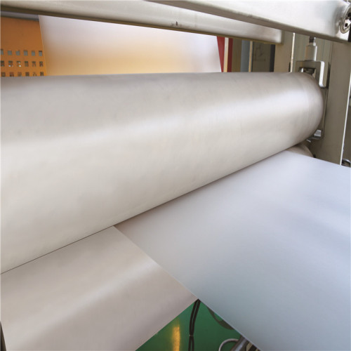 Clear PVC Film In Roll Blister Egg Tray