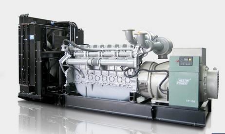 800kw Diesel Generating Set with Perkins Engine (WD P800)