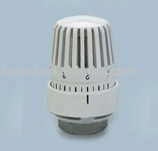 Thermostatic head