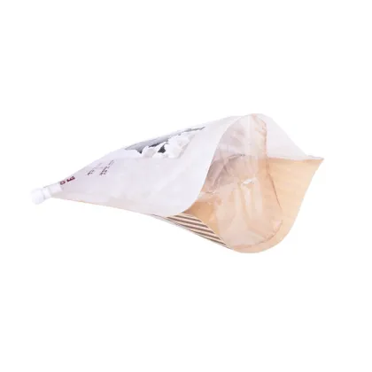 Potable coffee & tea brewer bag with spout