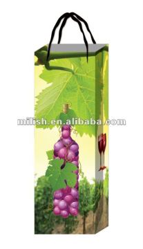 2012 New design plastic wine bag