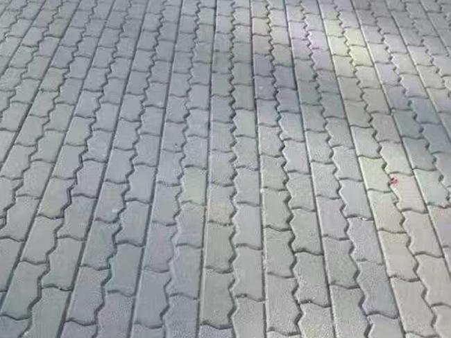 Interlocking Permeable Paver Bricks for Outdo