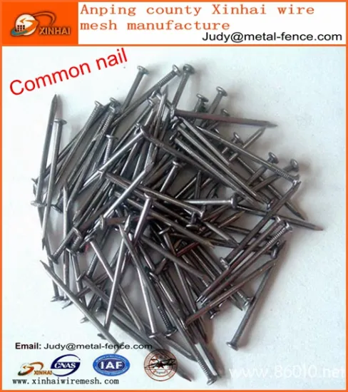 iron nail 1''-6''/ cheap price iron wire nail /iron nail common nail