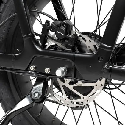 Mario Ebike 250w Fat Tire Electric Cargo Family City Road Bike