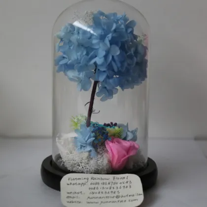 Venus Et Fleur Real Rose Leaves for Home-Decoration