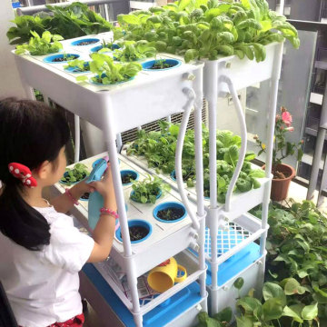 Mini Garden Vertical NFT Hydroponic System For Lettuce