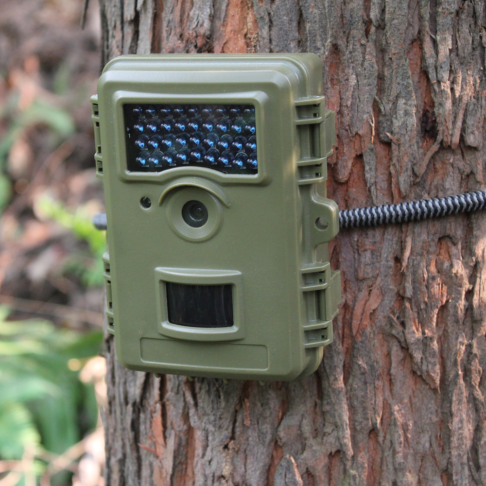 Deer Hunting Camera