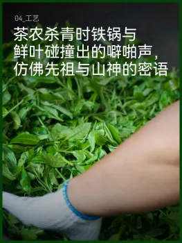 Handcrafted Ancient Tree Green Tea with Earthy Flavor