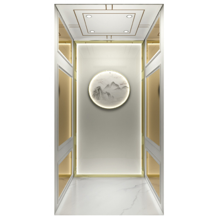 Holz Champagner Gold Edelstahl Villa Aufzug