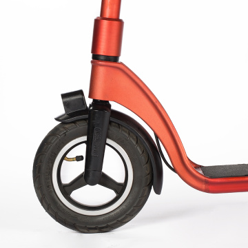 Custom Removable Battery Power Electric Scooter
