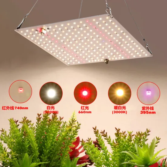 60W Full Spectrum LED Grow Light for Indoor Plants and Greenhouses