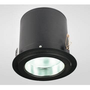 Mounted Aluminum Metal Halide Downlight