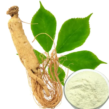 Ginseng Root Extract Powder Ginseng Powder