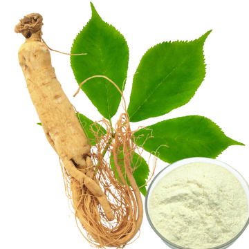Ginsenosides Ginseng Extract Powder