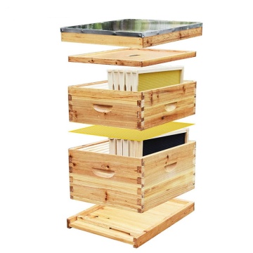 Lang's Beehive: Comprehensive 10-Frame Beekeeping Tool Set for Complete Hive Management