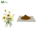 Dry Natural Chamomile Extract Powder