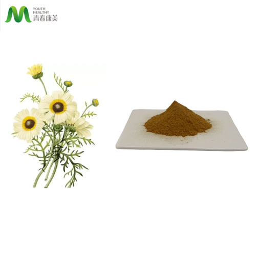Chamomile Extract Powder Dry Natural Chamomile Extract Powder Manufactory