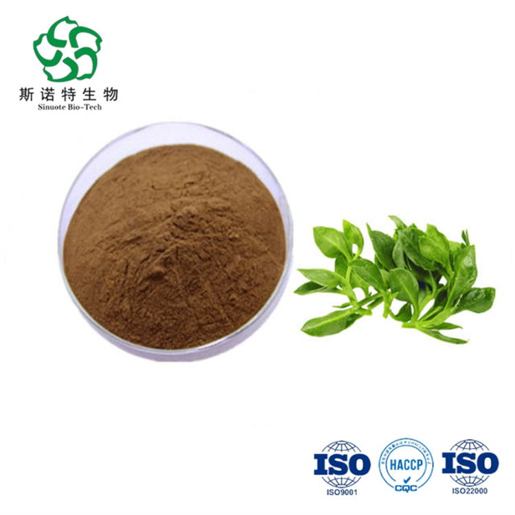 AndrograpHis Paniculata Extract andrograpolide