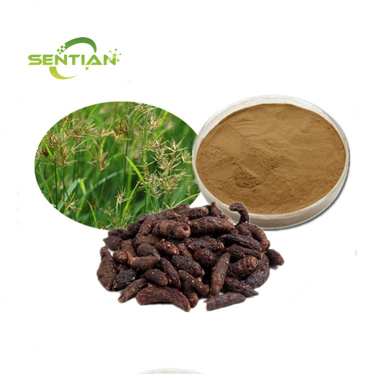Cyperus Rotundus Extract Powder
