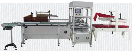 High Speed Cartoning Packing Machine , Paper Box Pillow Packing Machinery