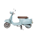 style electric scooter for vacation